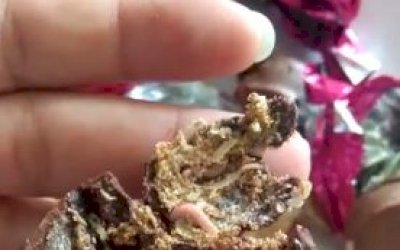 Comerciante de Miranda se assusta com bombons cheios de larvas