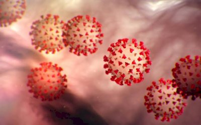 Brasil passa a França no total de mortos pela Covid-19: 28.834
