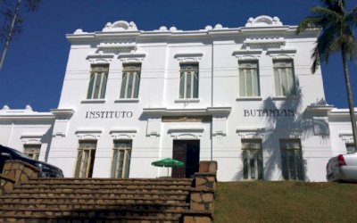 Butantan prevê colocar vacina contra a Covid-19 à disposição até o fim do ano