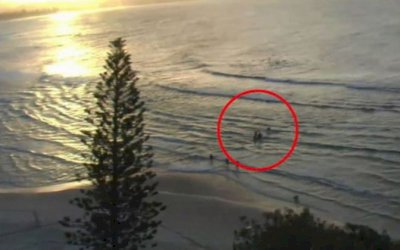 Surfista morre após ataque de tubarão na Austrália perto de praia do Circuito Mundial