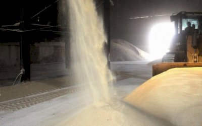 Em setembro, açúcar cristal bate recorde de preço da série histórica do Indicador CEPEA/ESALQ