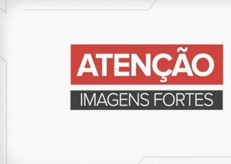 Bezerro nasce com duas cabeças e sete patas e assusta moradores de Rondônia: 'bizarro'