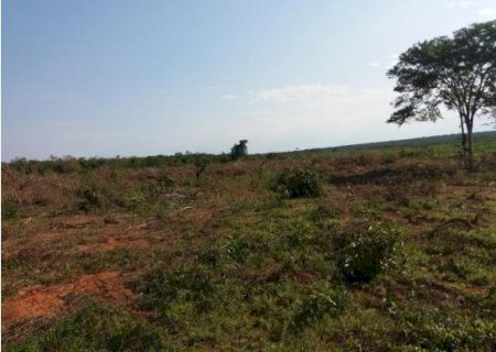 Quatro pessoas são indiciadas por fraude na aquisição e venda de lotes destinados à reforma agrária em MT