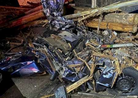 Cinco pessoas morrem após toras de eucalipto caírem de caminhão sobre carros