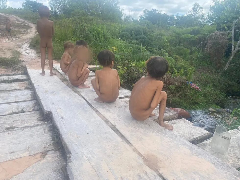 Quase 100 crianças morreram na Terra Indígena Yanomami em 2022, diz Ministério dos Povos Indígenas