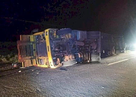 Carreta que carregava bovinos tomba na MS-386.