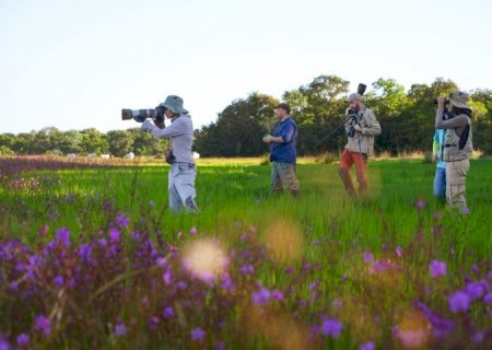 Com espécies raras, observação de aves em MS ganha destaque e espaço mundial