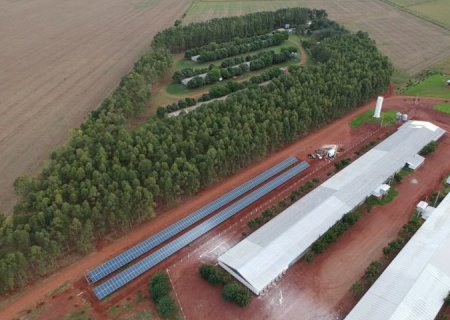 Mundo Novo entra no mapa da avicultura estadual com investimentos de R$ 66 milhões em recursos do FCO