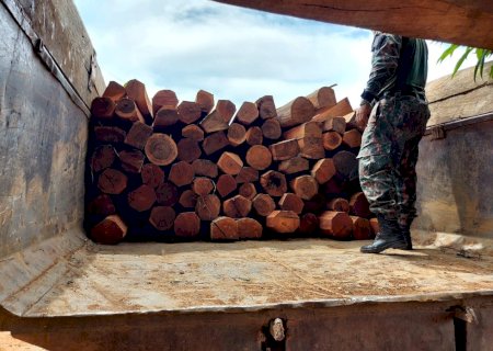 PMA autua homem em R$ 3.300,00 por transporte irregular de madeira