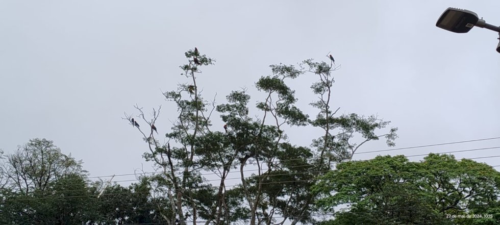 Terça-feira tem probabilidade de geada e pode registrar a temperatura mais baixa até o momento