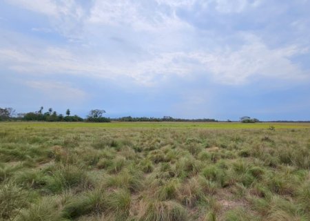 Ação conjunta entre Governo e Organizações da Sociedade Civil reforça infraestrutura do Parque Estadual do Pantanal do Rio Negro