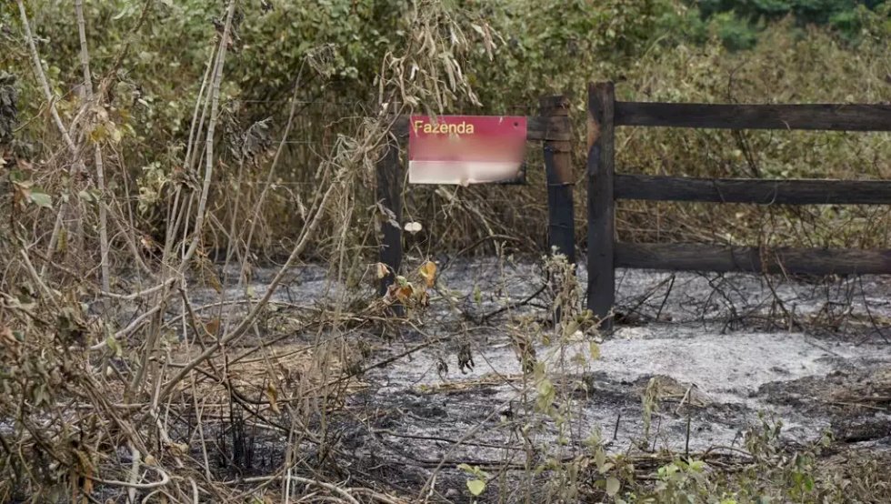 95% do fogo no Pantanal têm origem em áreas privadas, diz estudo