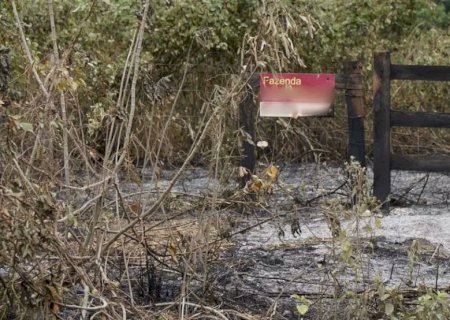 95% do fogo no Pantanal têm origem em áreas privadas, diz estudo