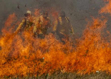 Pantanal acumula em 12 meses mais de 9 mil focos de incêndio