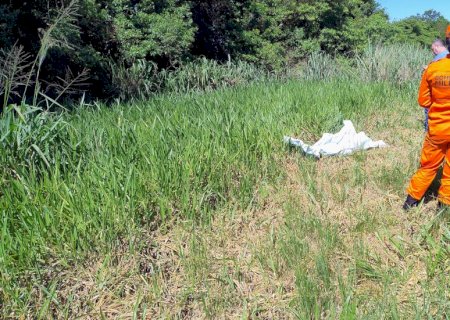Ivinhema - Mulher é encontrada morta na BR -376 saída para Deodápolis