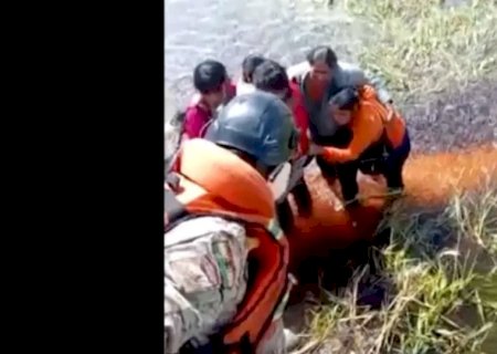 Cinco pessoas sobrevivem após queda de avião em pântano com jacarés