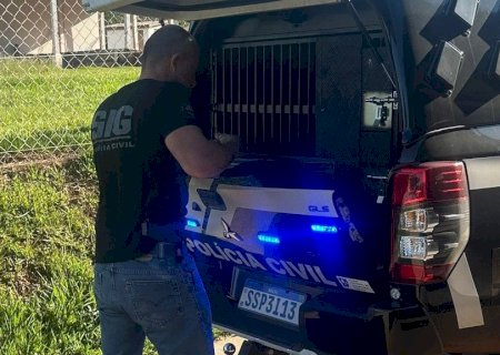 Ivinhema - Polícia Civil prende mulher que ajudou o filho a estuprar idosa