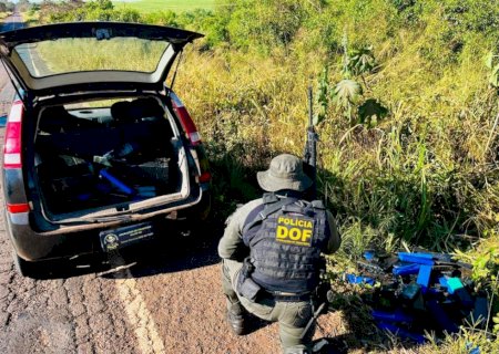 Ivinhema - DOF apreende mais de 200 quilos de droga em meio a mata
