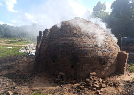 PMA autua em mais de oito mil reais, carvoaria irregular