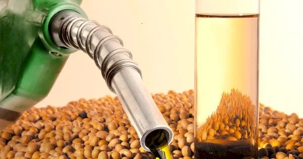 Governo amplia mistura de biodiesel e prevê mais demanda por óleo de soja