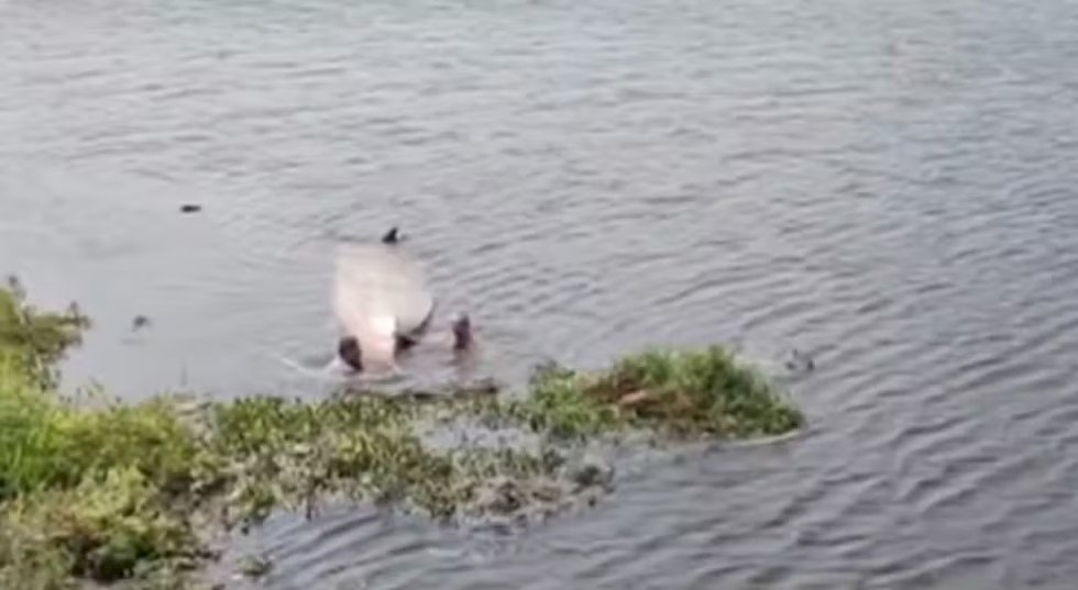 Militar do Exército de folga resgata homens que naufragaram em rio