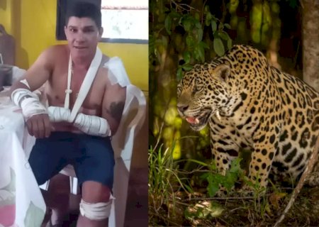 Homem que disse ter sido atacado por onça na realidade atropelou animal, diz PRF