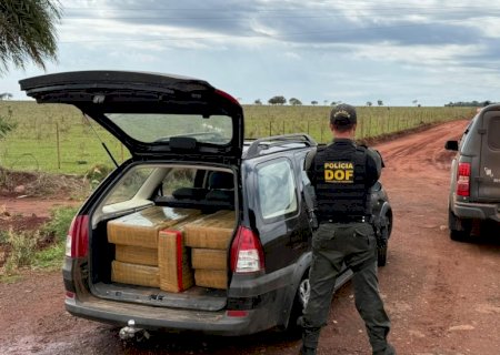 DOF apreende 320 quilos de drogas que seguiam para Minas Gerais