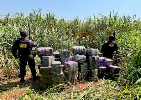 DOF apreende mais de R$ 5,5 milhões em drogas escondidas em meio a mata