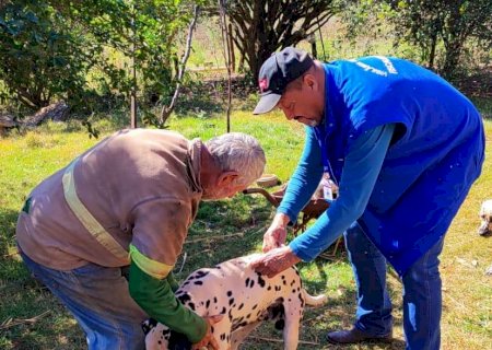 Município de Ivinhema e Distrito de Amandina terão dia “D” de vacinação