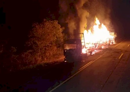 Carreta carregada com eucaliptos pega fogo e fica destruída na BR-267 em Bataguassu
