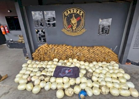 Polícia apreende quase 1 tonelada de cocaína após denúncia de negociação em oficina