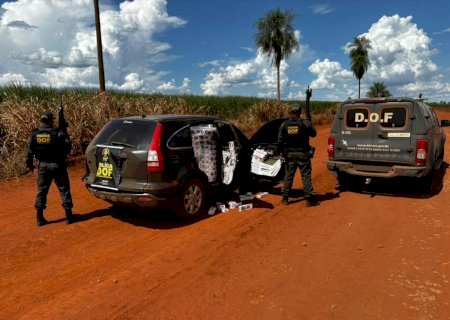 DOF apreende veículo carregado com cigarros
