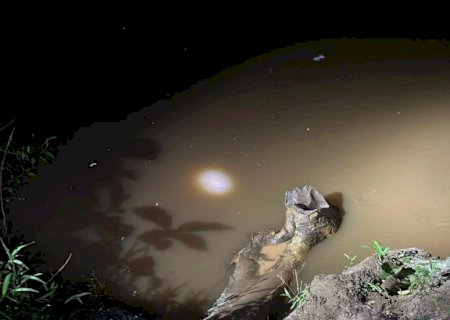 Homem desapareceu após cair em rio durante pescaria com amigos