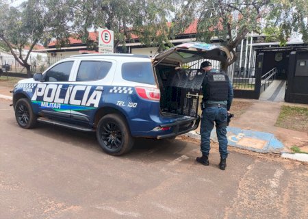 Polícia Militar conduz homem por ameaça e descumprimento de medida protetiva, em Ivinhema