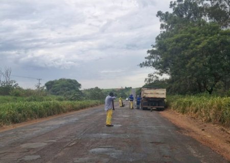 MS - 141 entra no radar de recapeamento entre Ivinhema e Naviraí