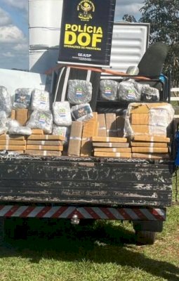 DOF apreende mais de meia tonelada de drogas escondidas em mudanças na MS -270