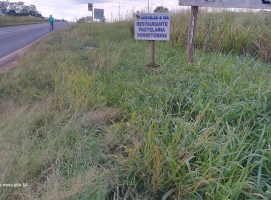 Ivinhema - Homem é encontrado morto as margens da BR-376