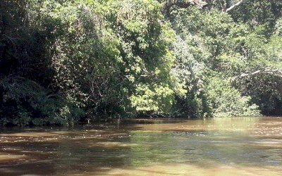  Em Ivinhema e mais 64 cidades no MS,  pesquisa  encontra 27 tipos de veneno na água, sendo 11 associados ao câncer