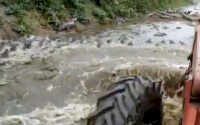 Polícia investiga vídeo de trator ‘atropelando’ jacarés no Pantanal de MS