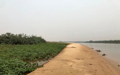 Com intensa estiagem, rio Paraguai atinge menor nível da história em MS