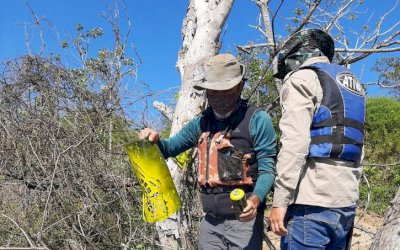 Imasul sinaliza trecho de trilha aquática que passa pelo Parque Estadual das Várzeas do Rio Ivinhema