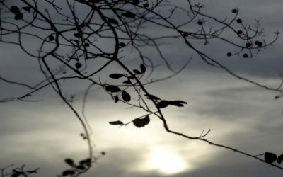 Domingo de eleição será de tempo abafado com possibilidade de chuva