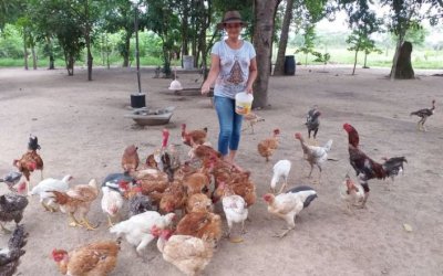 Fomento Mulher: autonomia para a beneficiária do campo