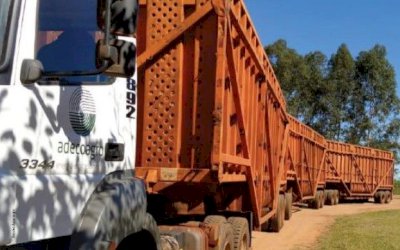 ADECOAGRO AVANÇA NA TRANSFORMAÇÃO DIGITAL COM MOTOROLA SOLUTIONS