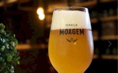 Empresa cria cerveja à base de soja em Mato Grosso do Sul