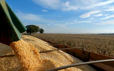 Milho continua em alta e café bate R$ 800; veja notícias desta quinta