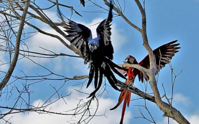 Calor intenso e umidade baixa são destaques do tempo no fim de semana