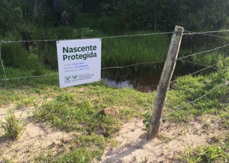 Focado na sustentabilidade e uso racional da água, MS tem mais de 1,3 mil nascentes protegidas pelos produtores rurais.