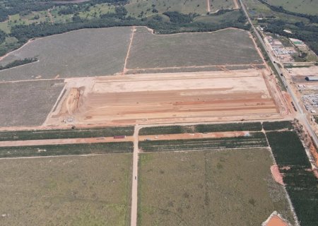 Novo viveiro da Suzano em Ribas do Rio Pardo (MS) produzirá até 35 milhões de mudas de eucalipto por ano