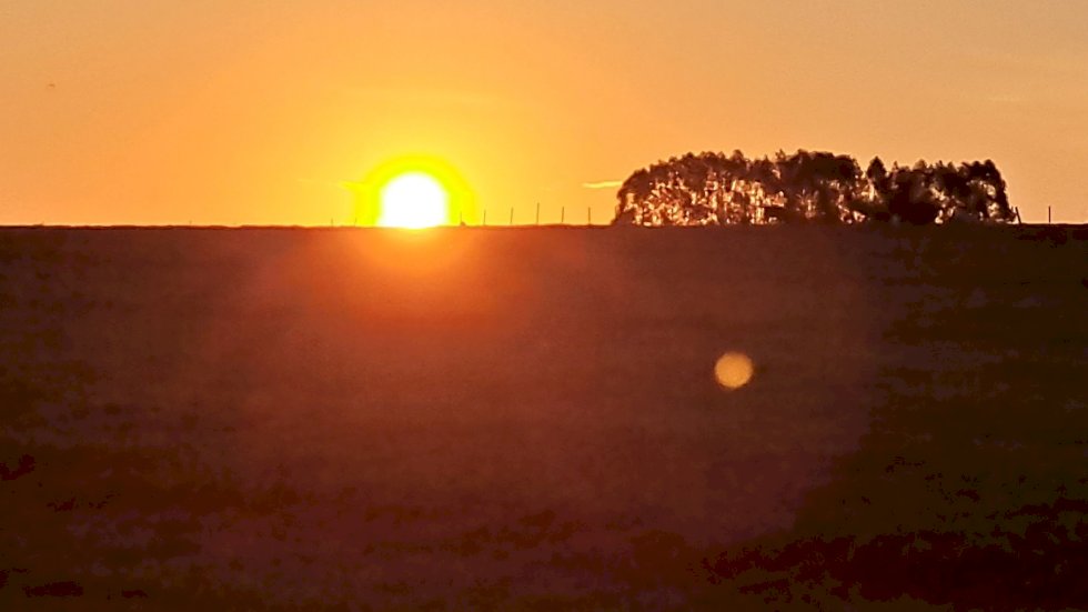 Segunda-feira começa com calor extremo de até 44°C